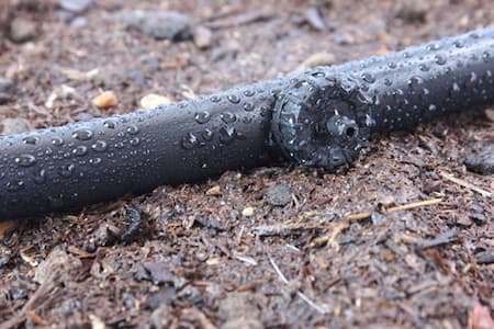 Drip Irrigation System Installation Thumbnail